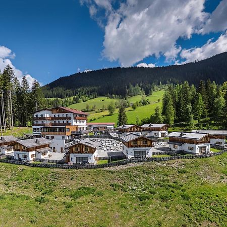 Das Eulersberg Apartments & Chalets Верфенвенг Екстер'єр фото