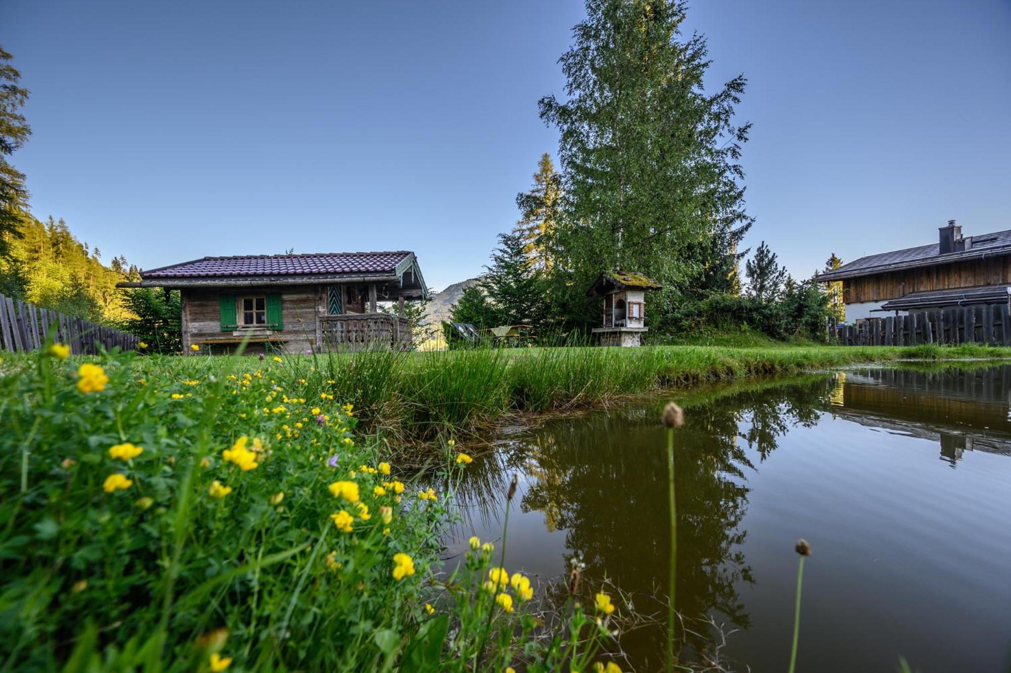 Das Eulersberg Apartments & Chalets Верфенвенг Екстер'єр фото
